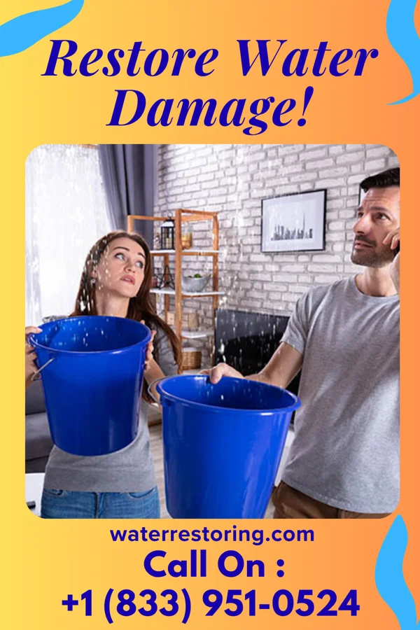 water restoration Reliable Sewage Cleanup & Associates Britton