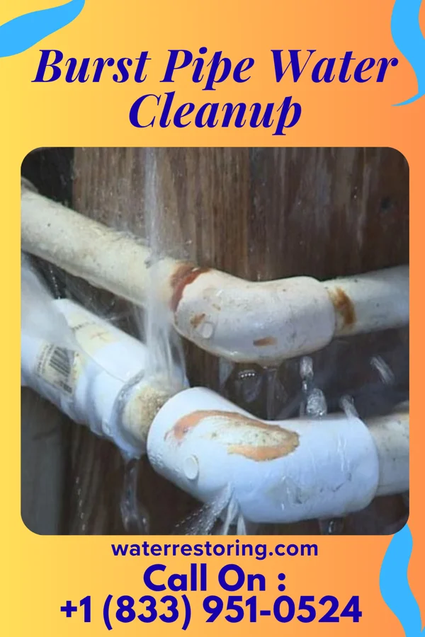 Burst Pipe Water Cleanup in Britton, MI