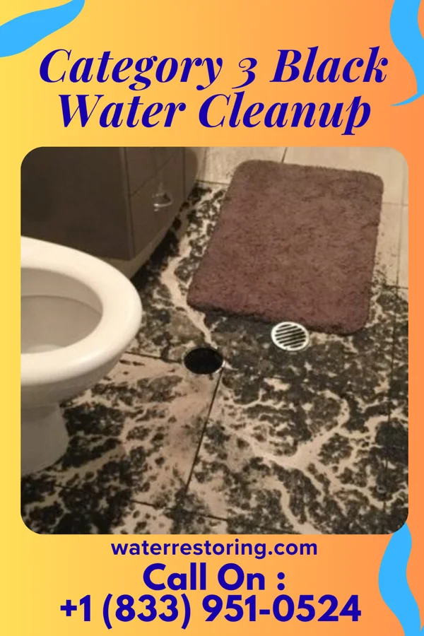 Category 3 Black Water Cleanup in Britton, MI