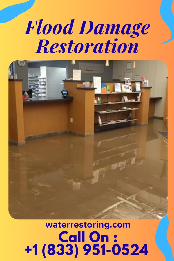 Flood Damage Restoration in Britton, MI