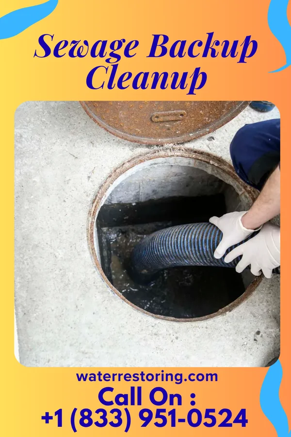 Sewage Backup Cleanup in Britton, MI
