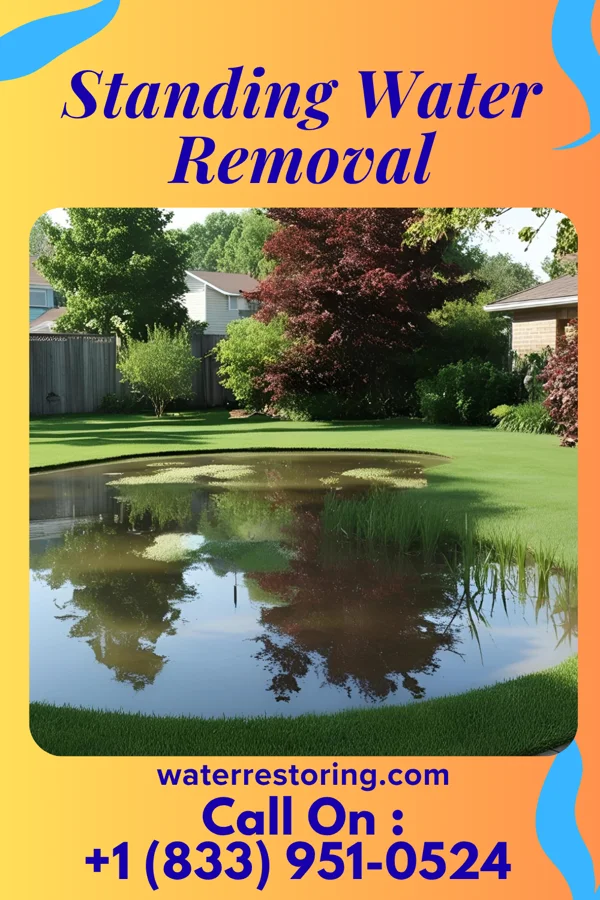 Standing Water Removal in Britton, MI